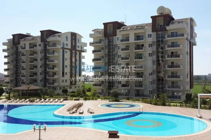 1+1 apartment in Orion City 43 