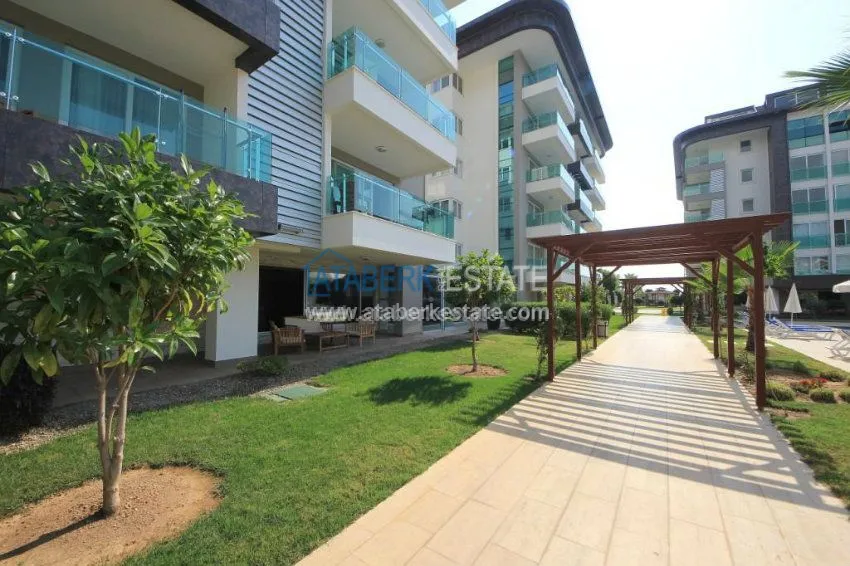 Urgent sale! The price is lower than the price of the developer! 20 