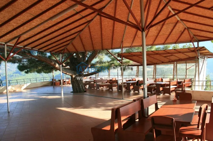 Rehabilitation center-hotel in the charming place of Alanya for sale! 24