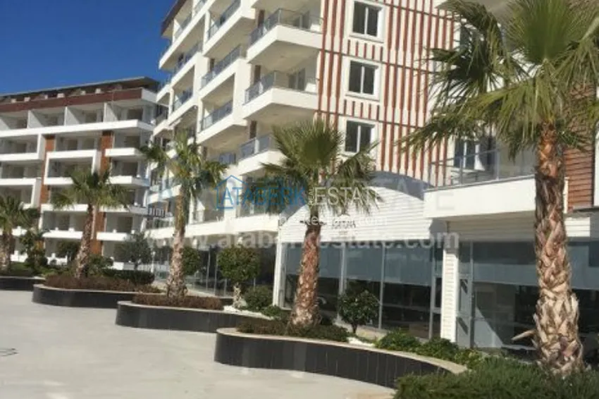 2+1 apartments in a modern complex in Demirtas 9 