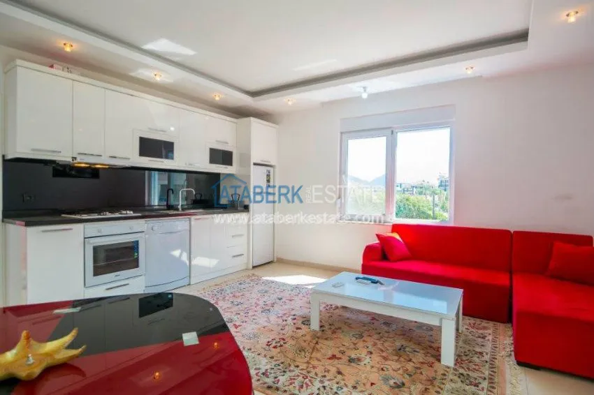 One bedroom apartment in Oba 6 
