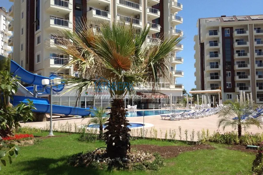 Apartments for sale in Orion 5 in Avsallar 11 