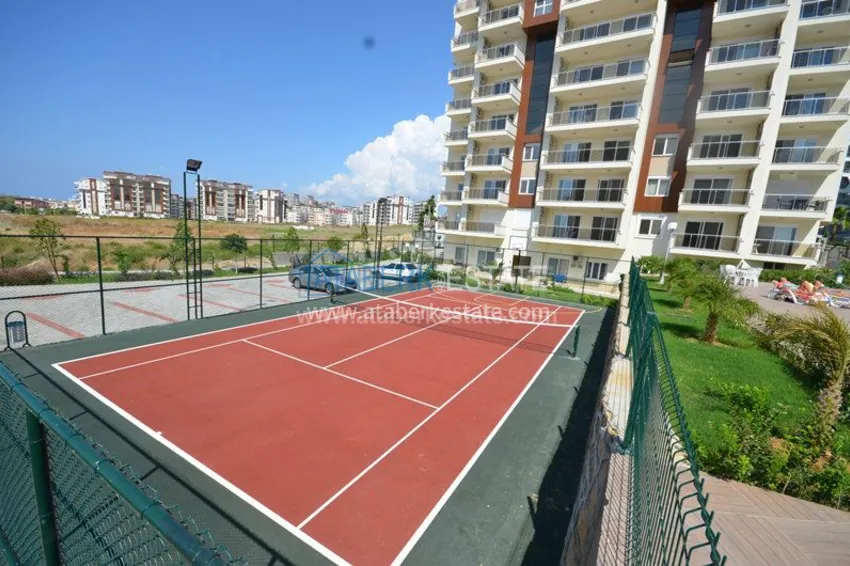 Orion 4 Avsallar, Orion Garden from the developer 18 