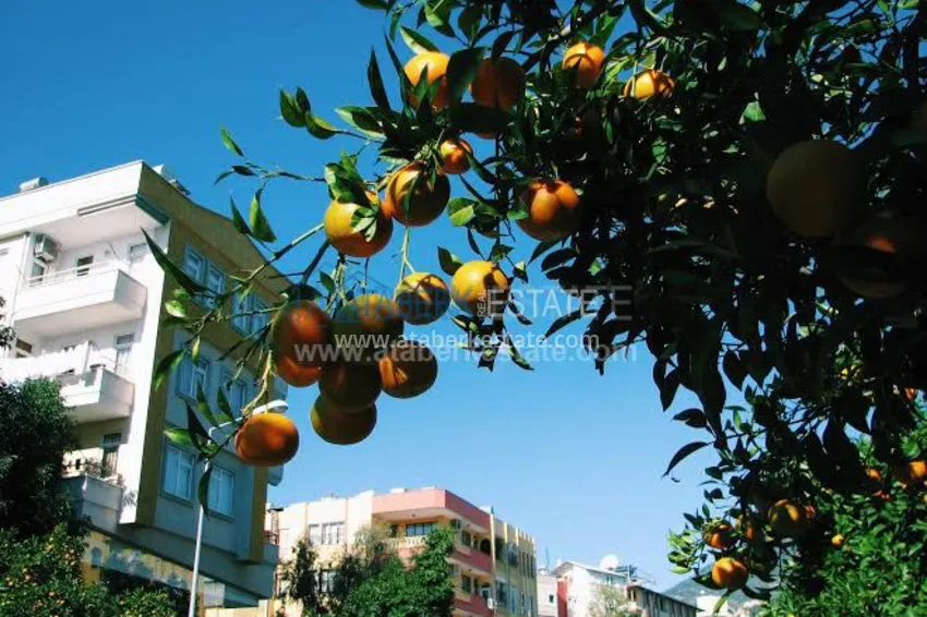 Квартира 2+1 в современном комплексе. 9 