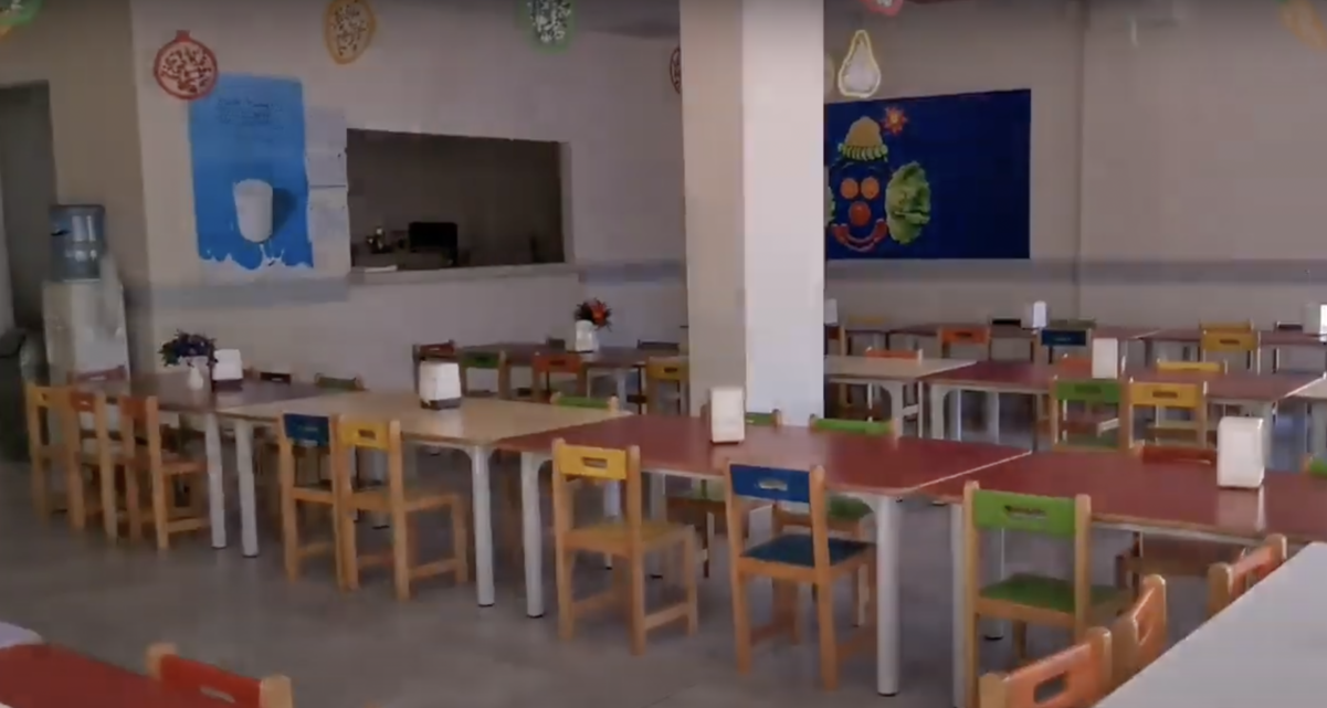 Образование в Турции