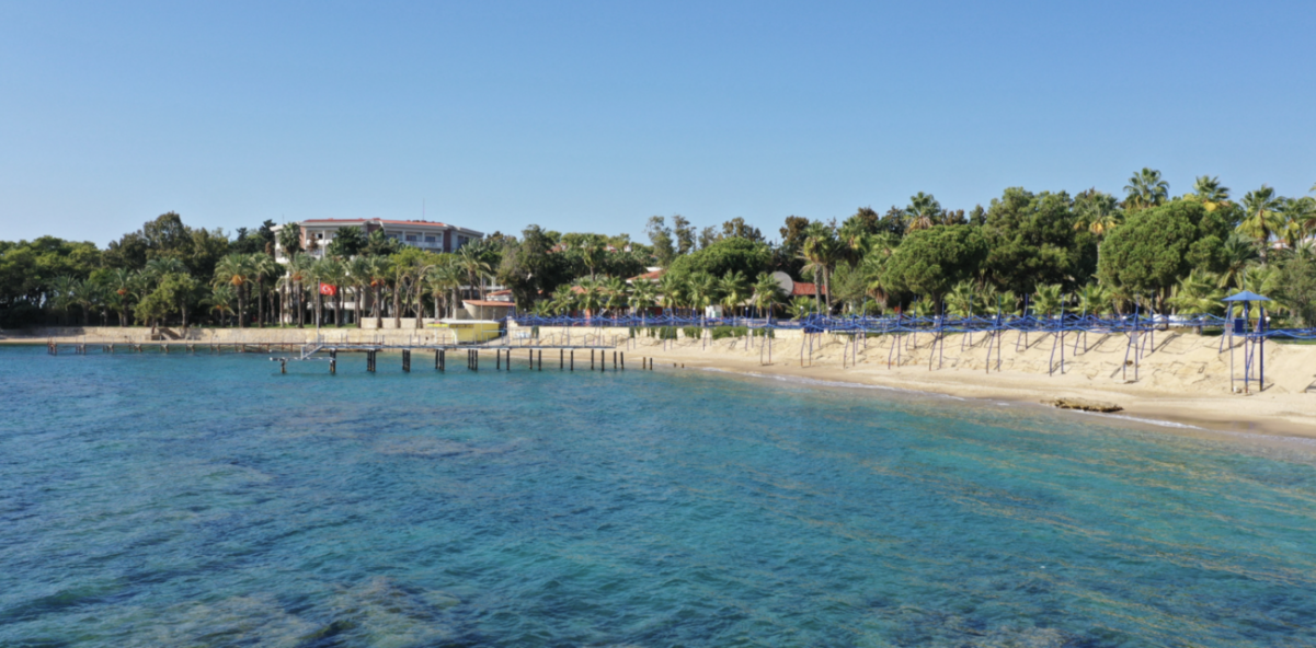 Real estate in Avsallar