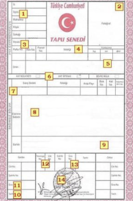 TAPU