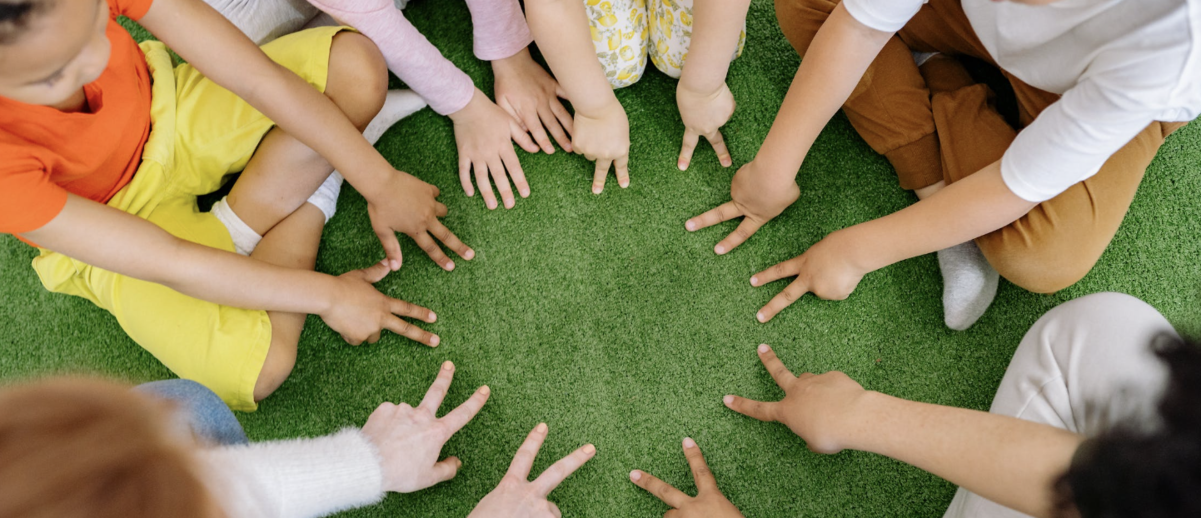 Образование